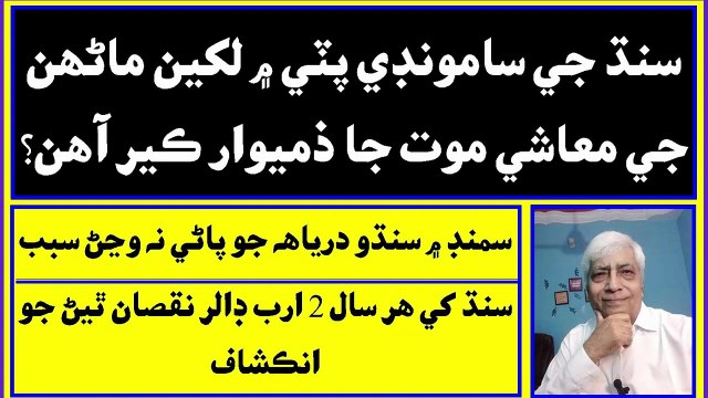 Ruk Sindhi __ Shortage of fresh water flow from the Indus River __ Indus Delta is dying