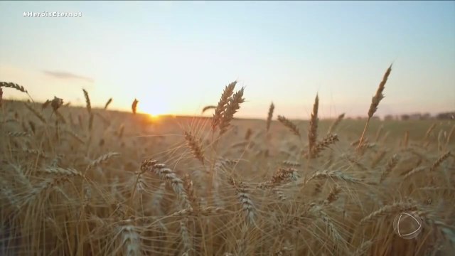 10 _ José e os irmãos , Baraque e sua estratégia , Jericó ,a cidade onde viveu Raabe