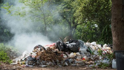Brasil pone la Amazonía en el centro del debate climático con la llegada de la COP30