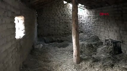 14 yıl sonra ortaya çıkan kan donduran cinayet!