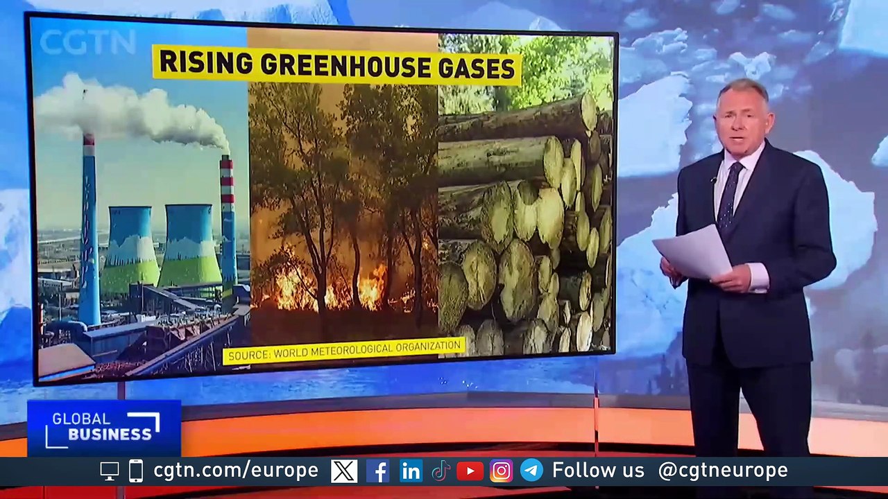 WMO says CO2 levels hit record high last year:...