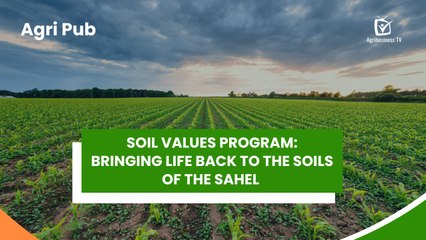 Agri Pub: Soil Values Program, Bringing life back to the soils of the Sahel