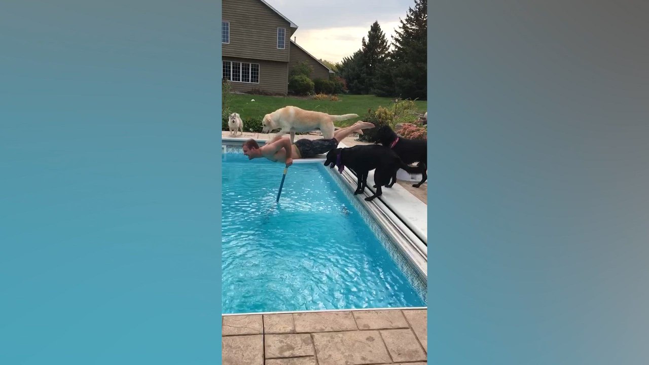 Goofiest Pet Moments