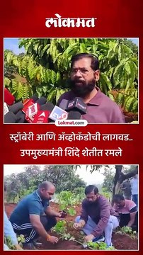 एकनाथ शिंदे दरे गावी, शेतात यंदा काय काय लागवड केली