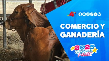Managua 2025: sede oficial 🐂 de la III Feria Ganadera Navidad en Noviembre 🎄