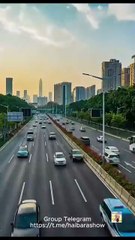 The Mermaid's Secret Baby