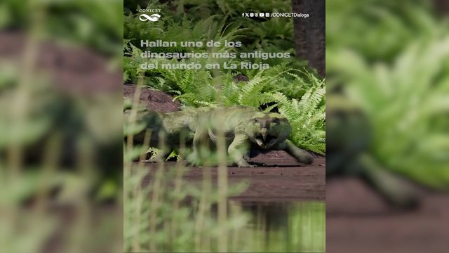 Científicos del CONICET hallan uno de los dinosaurios más antiguos del mundo en La Rioja