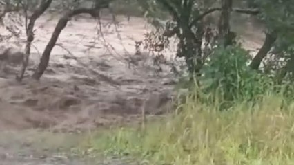 Hombre muere arrastrado por la crecida de un río en Barú