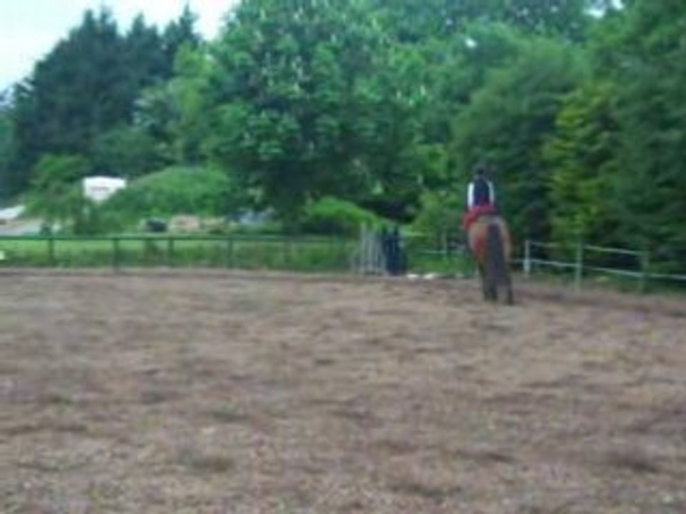 Eddie 17th May 2008 Schooling