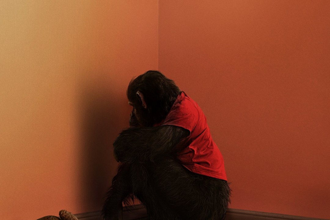 Primate - Trailer