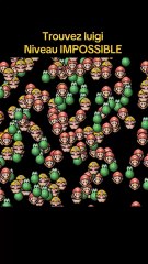 Niveau très très dur find luigi
