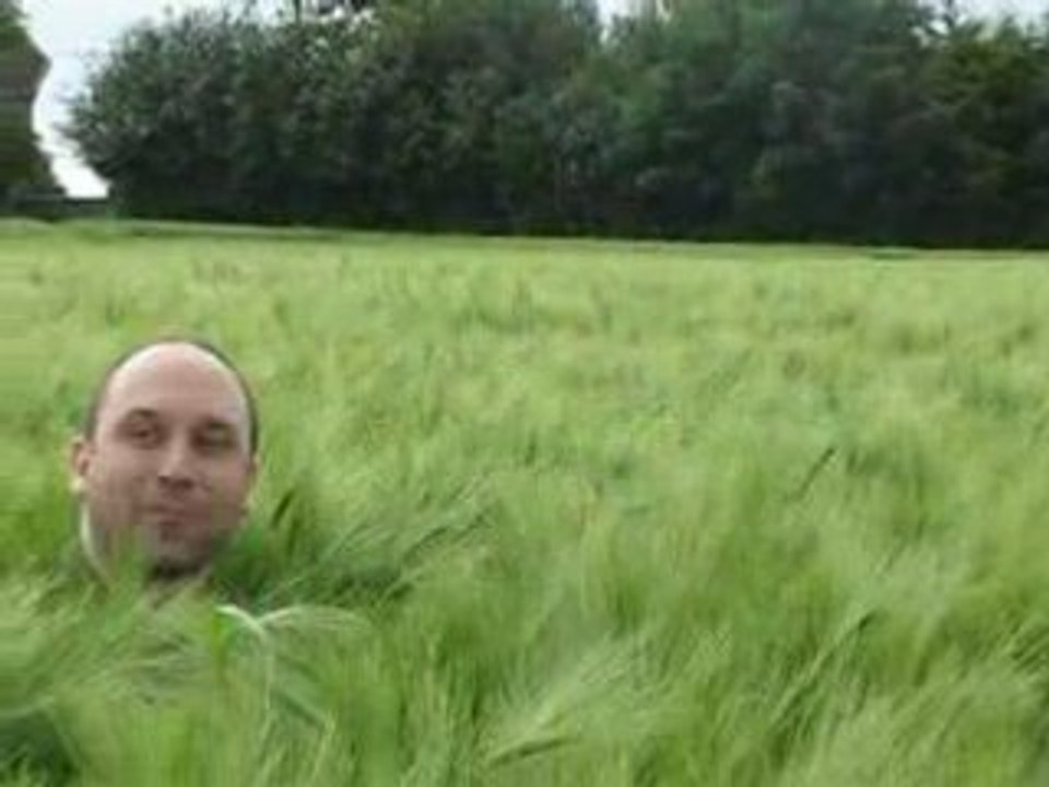 Dans les champs de Danzé...