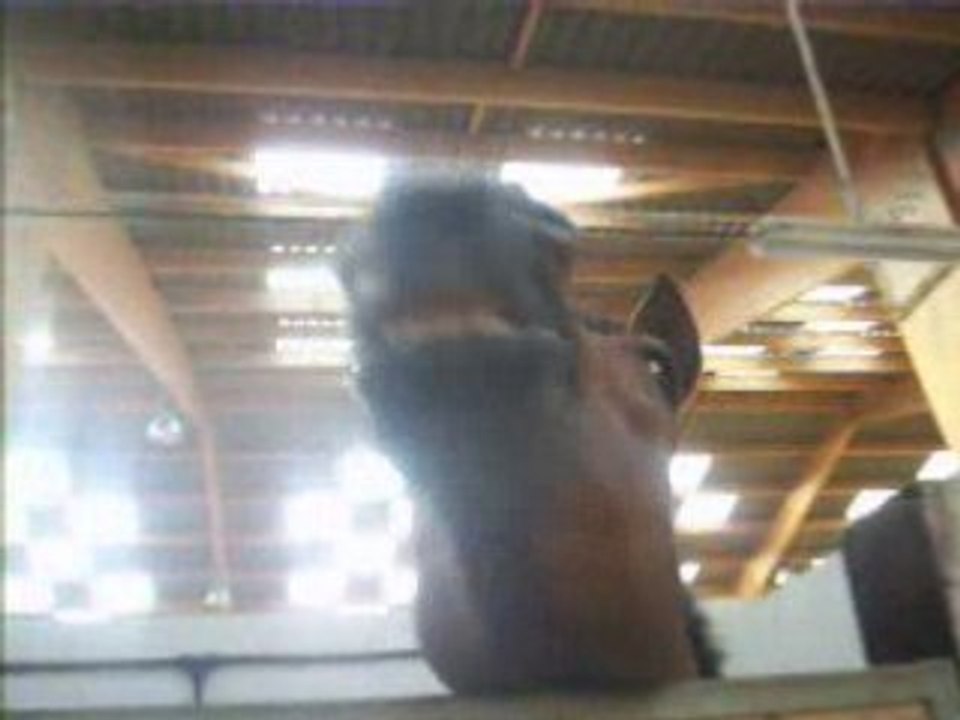 Mirabelle ptdr