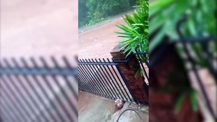 Chuva forte vira pesadelo: Rua alagada e morador tenta desentupir bueiro