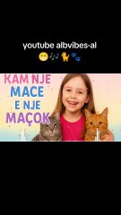 Kam nje mace dhe nje macok
