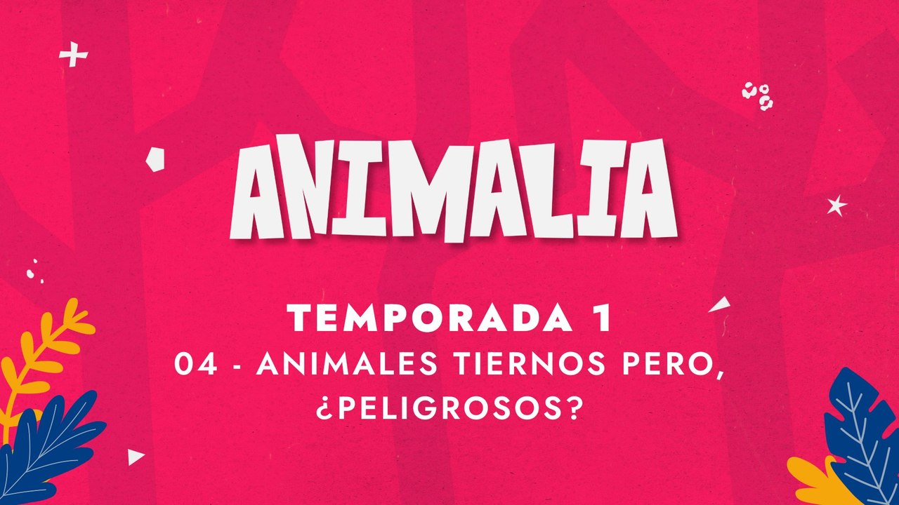 04 ANIMALES TIERNOS PERO, ¿PELIGROSOS?