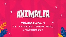 04 ANIMALES TIERNOS PERO, ¿PELIGROSOS?