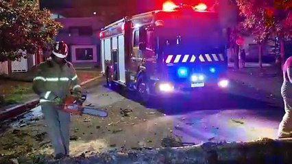 Queda de árvore destrói muro e interdita trecho da Rua Rui Barbosa em Cascavel