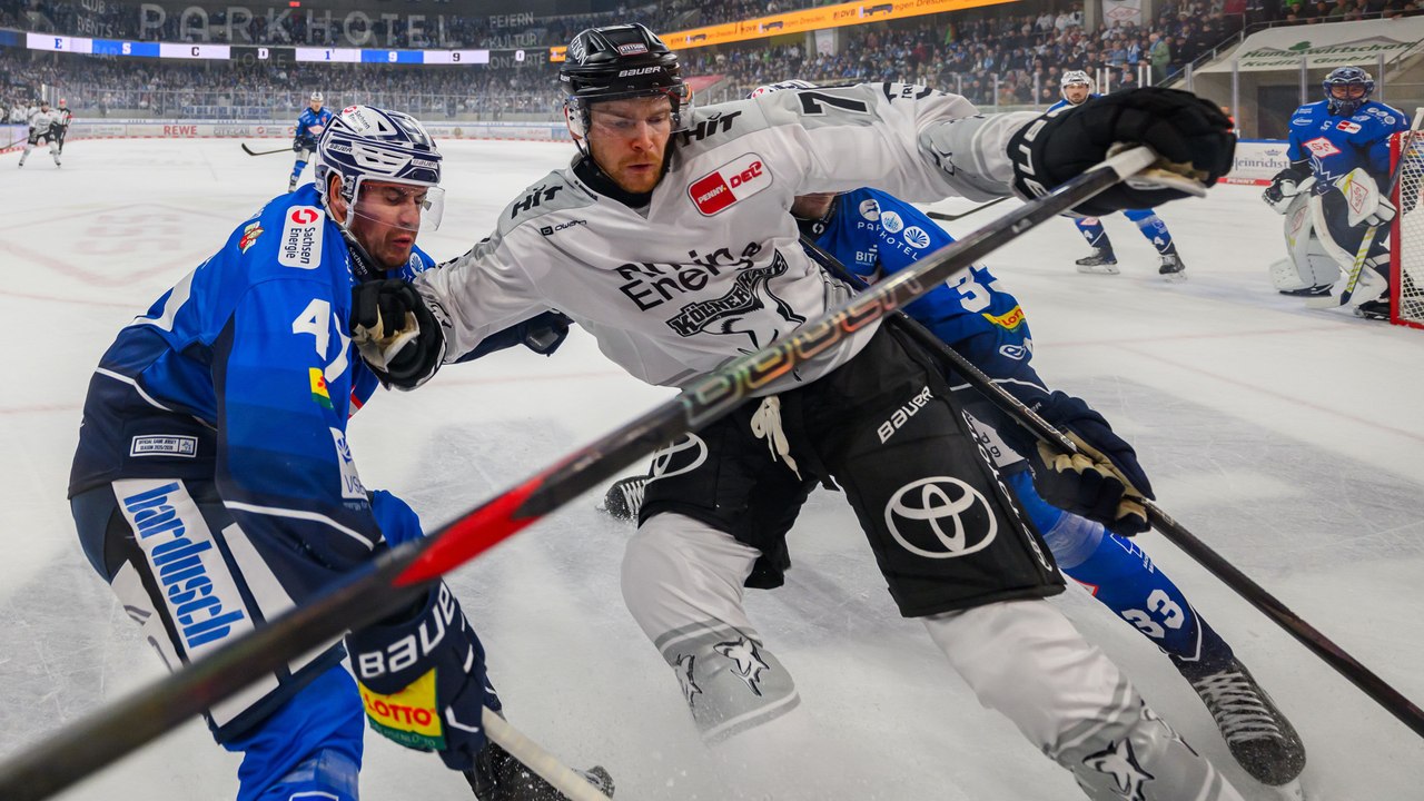 4:0 nach 23 Minuten: Haie gewinnen abgeklärt in Dresden