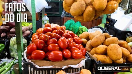 Tomate fica mais barato em setembro, mas tem alta de 18% no ano em Belém