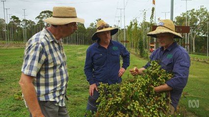 Gardening Australia (2010) Season 36 Episode 34