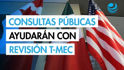 STPS pide aprovechar consultas que, por primera vez, se abren para analizar la revisión del T-MEC