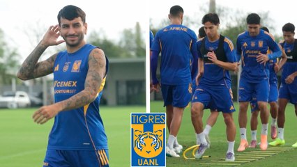 Tigres: Ángel Correa y compañia se entrenan con Necaxa en la mira