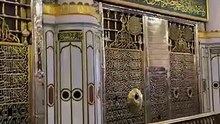 🕋 Masjid e Nabawi ﷺ — where hearts find peace. No palace shines brighter, no place feels purer.