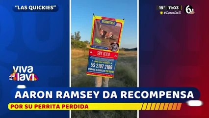 Aarón Ramsey ofrece recompensa por su perrita