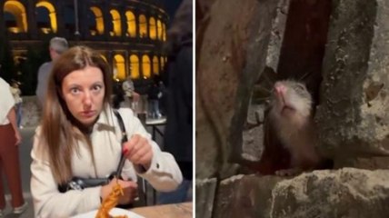 Spunta un topo alla cena vista Colosseo di due turisti a Roma: il video è virale