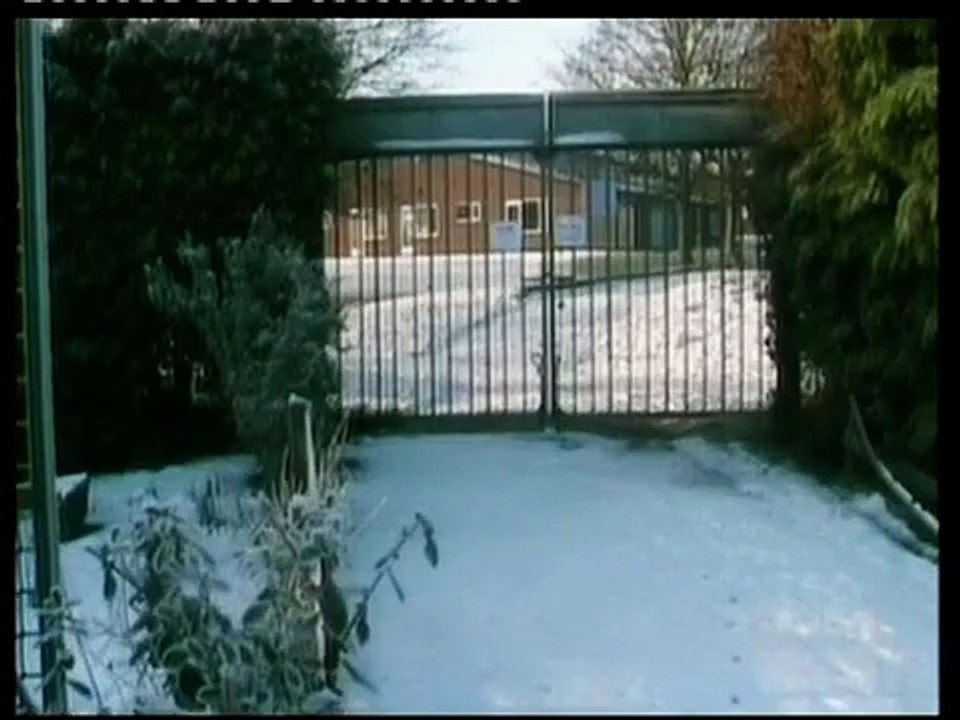 KBV-079 Winter on Sinfin Moor Allotments