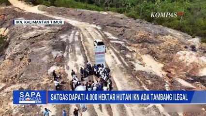 4.000 Hektar Hutan di IKN Terdapat  Aktivitas Tambang Ilegal  SAPA PAGI
