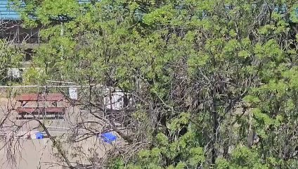 Heavy machinery being used to clear vegetation at the Phillip pool