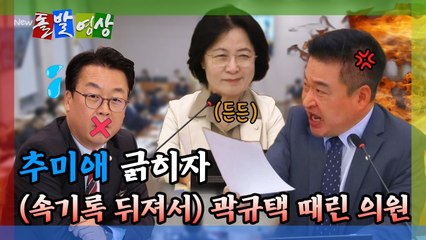 [돌발영상] "위원장님은 국회 공식 기구입니다" 여기가 북한인지 법사위인지? / YTN