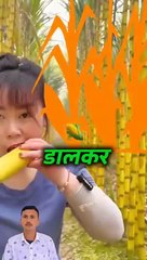 Discover Amazing Facts About Dairy Farming 🐄