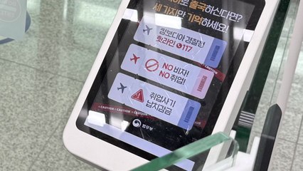 법무부, 캄보디아 출국 국민에 위험성 안내 조치 시행 / YTN