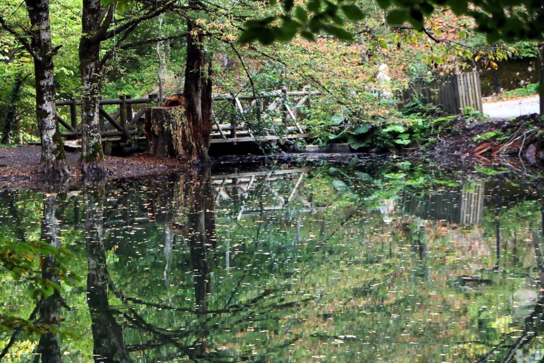 Nereye dönseniz manzara muhteşem: Sonbahar bambaşka bir güzellik kattı