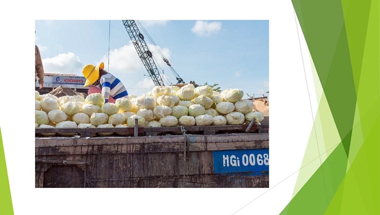 Advanced Grain Storage Flat Bottom Silos in India for Safe Harvest Storage