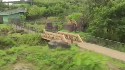 തൃശൂരിലെ സുവോളജിക്കൽ പാർക്ക് ഉദ്ഘാടനത്തിനായി ഒരുങ്ങി