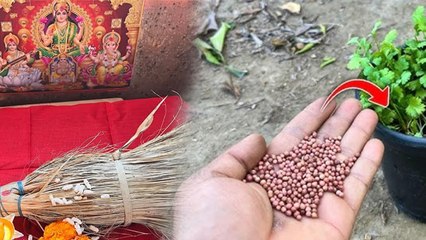 Dhanteras 2025: धनतेरस के दिन क्या करना चाहिए क्या नहीं, इस 1 गलती से लक्ष्मी हो जाएंगी नाराज..|