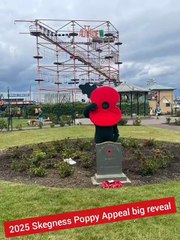 Countdown to unveiling of world record Skegness Poppy Display