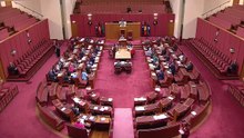 Is Albanese Going To Expand Parliament?