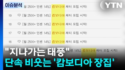 [이슈ON] "지나가는 태풍"...단속 비웃는 캄보디아 '장집' / YTN