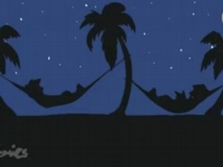 Episode 54: Traveling Gringos