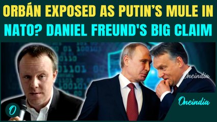 Putin’s MULE in NATO Exposed| Hungary’s Orban Working for Russia? Daniel Freund’s SHOCKING Claim