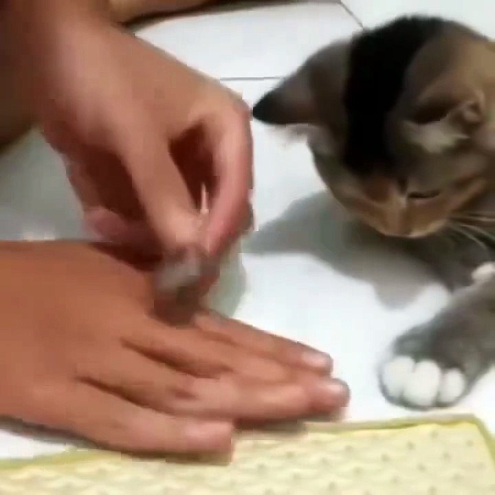 Quick learner