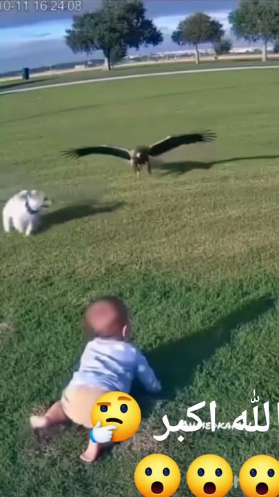 Funny video #bestfunnyvideo #topbestfunnyvideo #vi