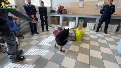 Lecce, maxi sequestro di droga al carcere "Borgo San Nicola"