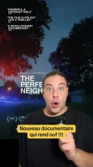 Aujourd’hui on regarde « La Voisine idéale » ce nouveau documentaire Netflix qui rend ouf ! Alors de quoi ça parle ? Je te dis tout dans cette vidéo !
