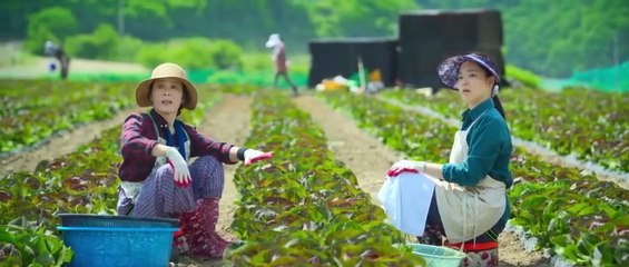 Genie Make a Wish Hindi Dubbed Full Korean Drama Episode 2